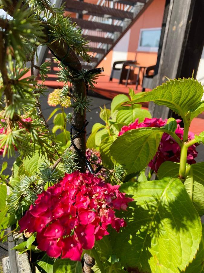 האוגסונד Flotmyrgarden Apartment Hotel מראה חיצוני תמונה